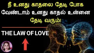 THE LAW OF LOVE | நீ உனது காதலை தேடி போக வேண்டாம் உனது காதல் உன்னை தேடி வரும்