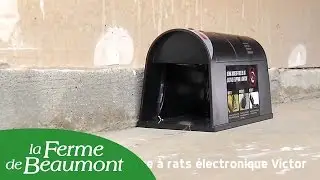 Pi&egrave;ge &agrave; rats &eacute;lectronique Victor - Ferme de Beaumont