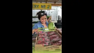 200 Local Vendors, 1 Amazing Store