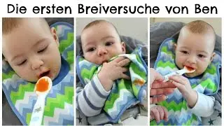 BEIKOST: Der erste Brei I Tag 1 - 3 I MamaBirdie