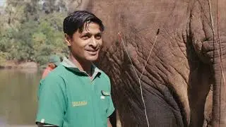 Vantara Sanctuary Stories S1E3 | Heroes of Healthcare: Saving Wildlife Lives