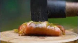 Tomato VS Sledgehammer