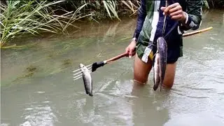 Net Fishing at Pailin Province - Cambodia || Fishing in Asian