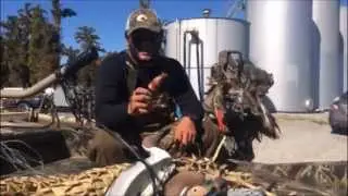 Beaver Creek Game Calls - Red Bandit Duck Calling Demo