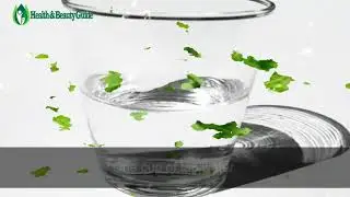 5 Minute Drink Lets You Lose Five Pounds in 5 Days   best thing to drink for weight loss