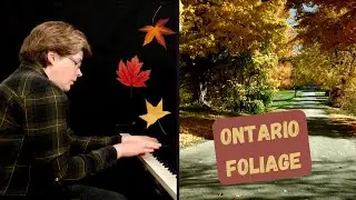 Bach - Little Prelude in D-minor BWV 940 // & More Fall Colours 🍂