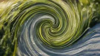 Brand Animation RYYcom Logo Reveal