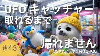 【赤ちゃんアザラシぽふ】景品取れるまで帰れないチャレンジ？！ゲームセンターに入り浸った1日密着🎮✨