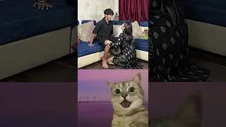 Mood killer🤣 #cat #meme #dance #trending #tiktok