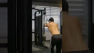 Pro Ultimate Gyms Statement of the art gym equipment