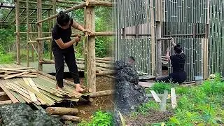 18-Year-Old Single Mom Builds Solo Bamboo House | 100 Days Forest Survival