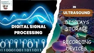 Digital signal processing DSP