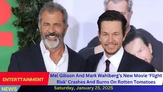 Mel Gibson And Mark Wahlberg&rsquo;s New Movie &lsquo;Flight Risk&rsquo; Crashes And Burns On Rotten Tomatoes