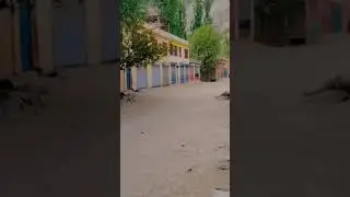 Kharkoo tapari ❣️
