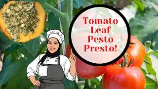 Tomato leaves are edible & delicious. The proof in these recipes 👆🏽