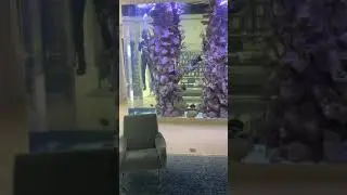 Fish Tank Cleaning Service