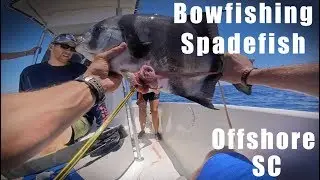 Bowfishing Offshore SC + Bottom Fishing