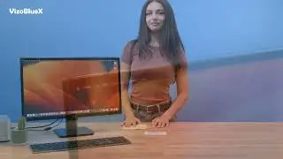 VizoBlueX Best Blue Light Filter for Computer Monitor. Blocking Screen Protector LCD PC, Mac Monitor