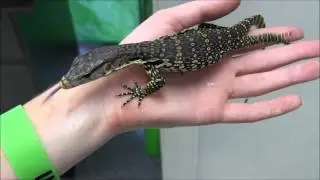 Baby Water Monitors