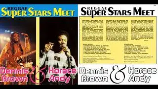 Horace Andy - 09 - She Give Me Fever - Reggae Super Stars Meet