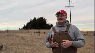 Farmstead Forest: How to handle invasive Eastern Red Cedar trees