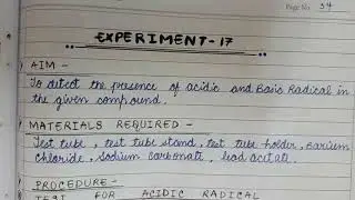 How to write Salt Analysis in practical file?