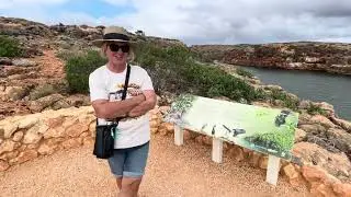Bats, Yardie Creek Gorge, Ningaloo, Exmouth, Coral Coast, Western Australia, Australia