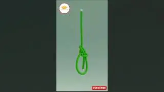 How To Make Bowline Knot #3d #animation #knot #shorts