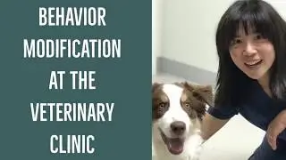 Fear Free Veterinary Visits