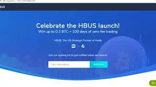 HBUS 'ICO' Review