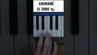 Tutorial #chamame El Toro #acordeon #melodica #piano