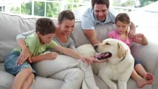 Single Family Homes Greater Bluffton SC Real Estate Video