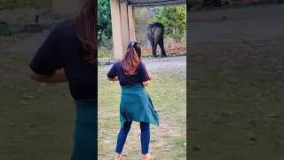 He literally Danced with me..😍🙈 | BeingNavi