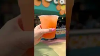 Mini-Pool Bar Crawl at Disney World