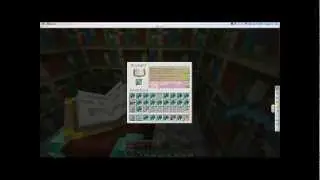 Enchanting Montage, Minecraft