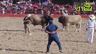 Pozo de oro vs Sagra 2025 faaim 