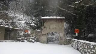 All'Eremo delle Carceri, a piedi, sotto la neve...