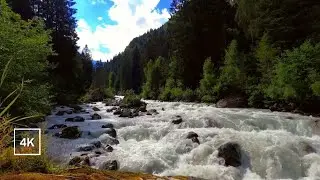 4K Autumn Forest Ambience &ndash; Relaxing River, Water Sounds for Sleeping & Focus, |Fall Nature Ambience