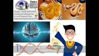 Kids need Educational Assistance? Math not Mathing? I'm here and Looking to make Education Fun ! 