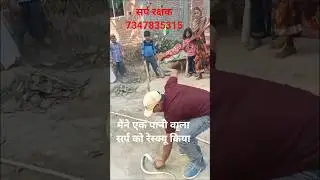 #Water snake rescue.🐍.#viral.#tranding video.#Short video.#Non poisonous Snake.💖
