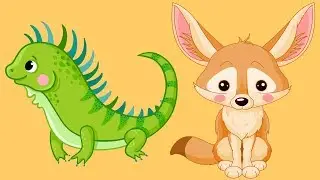 Summer Animals! Learn the Names of Animals that Love Warm Weather