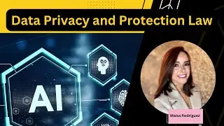 How to make a Career as a Data Privacy and Protection Lawyer?