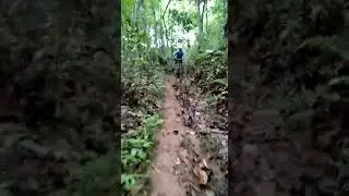 Mantapp gojawar