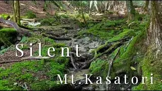 【ASMR登山 / ASMR Hiking】ワンシーンモメント特別編｜笠取山｜沢の音色旅・多摩川源流の沢音