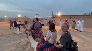 DESERT JEEP SAFARI DUBAI - camel ride Shows, Attractions and More!
