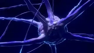 Synästhesie - Die geheime Superkraft