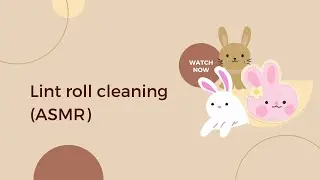 Lint roll cleaning ASMR