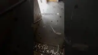 The basement was full of still water 😷