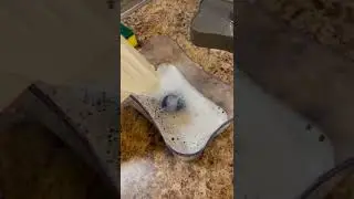 Saves soap. mess free