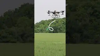 Drone Downwash